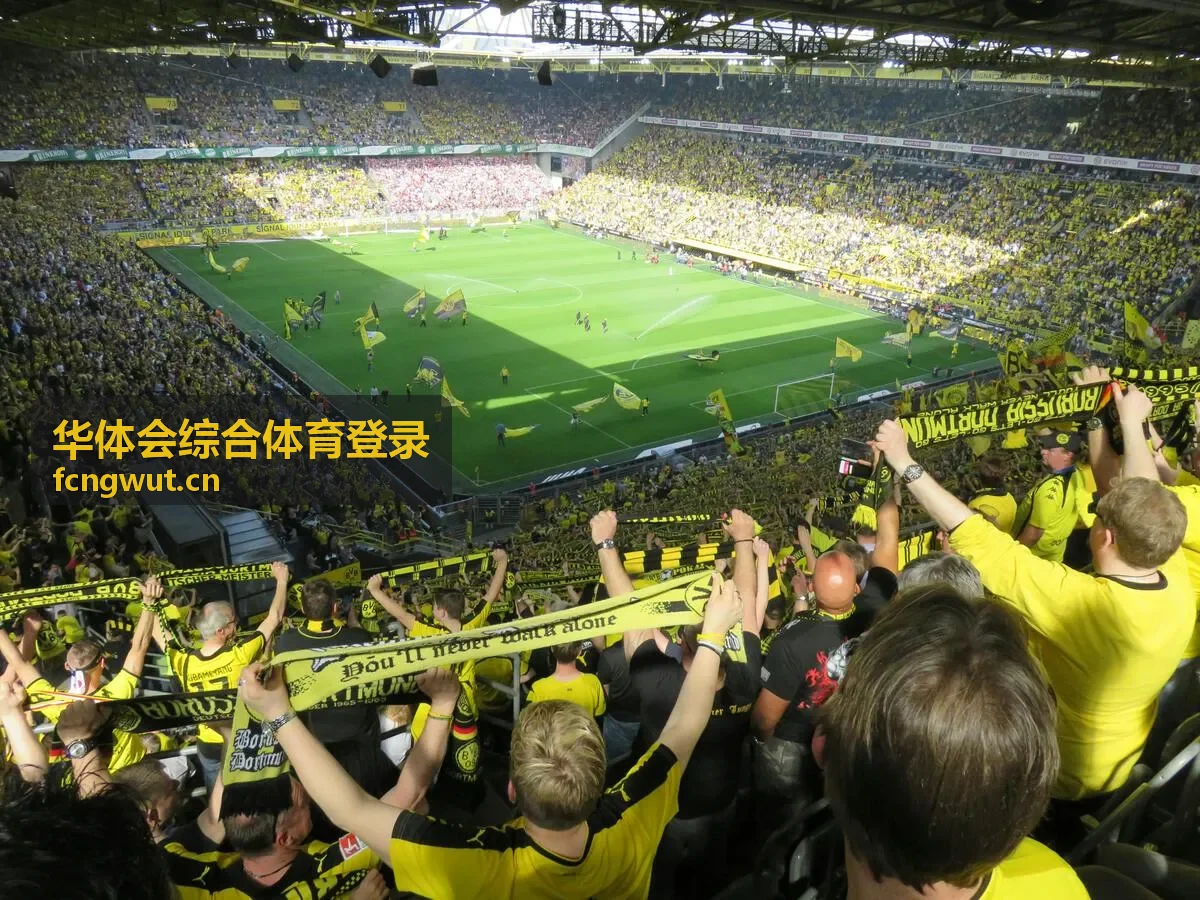 华体会综合体育登录篮球数据统计内容封面