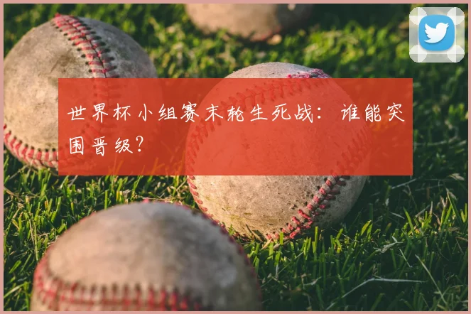 世界杯小组赛末轮生死战:谁能突围晋级?