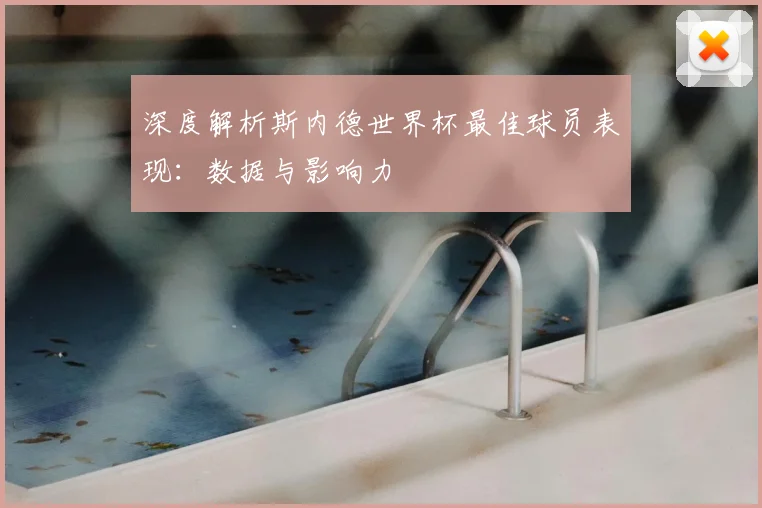 深度解析斯内德世界杯最佳球员表现:数据与影响力