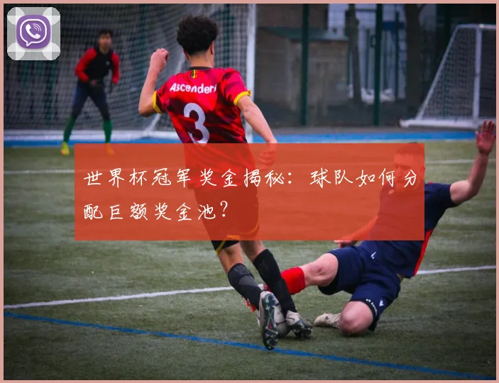 世界杯冠军奖金揭秘：球队如何分配巨额奖金池？