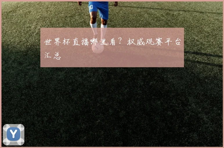 世界杯直播哪里看？权威观赛平台汇总