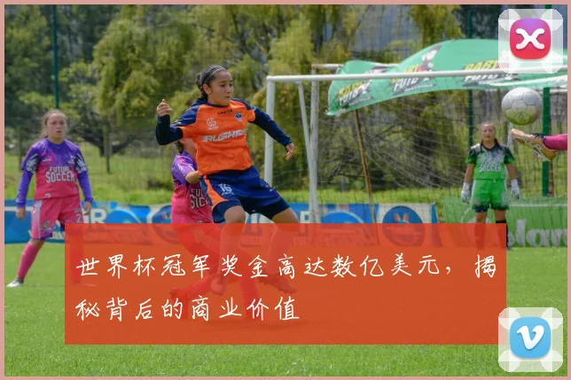 世界杯冠军奖金高达数亿美元,揭秘背后的商业价值