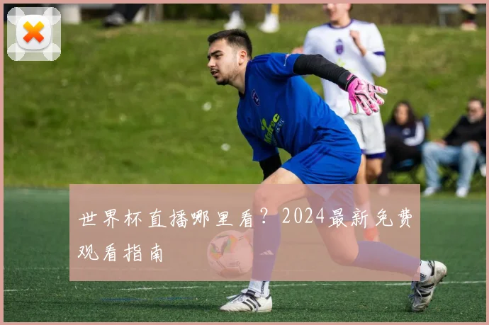 世界杯直播哪里看？2024最新免费观看指南