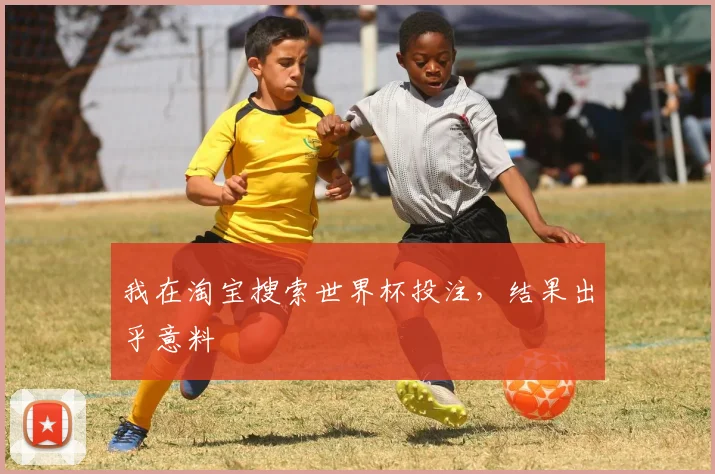 我在淘宝搜索世界杯投注，结果出乎意料