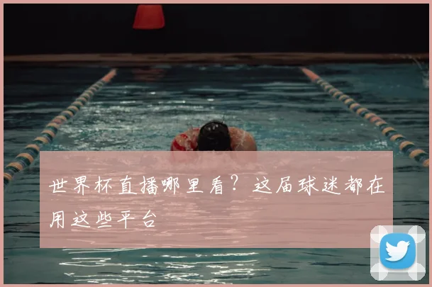 世界杯直播哪里看？这届球迷都在用这些平台